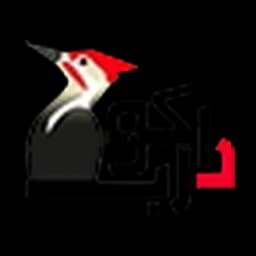 شرکت دارکوب