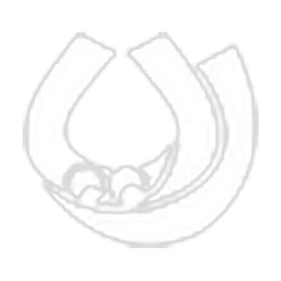 رایا مارکتینگ